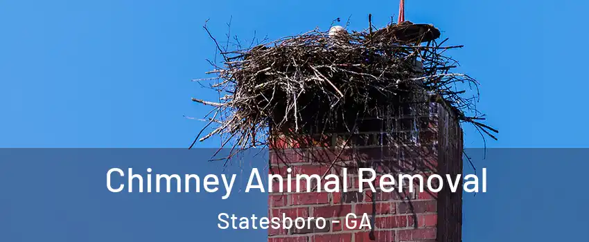 Chimney Animal Removal Statesboro - GA