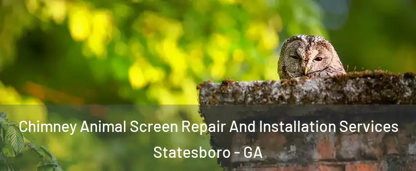  Chimney Animal Screen Repair And Installation Services Statesboro - GA