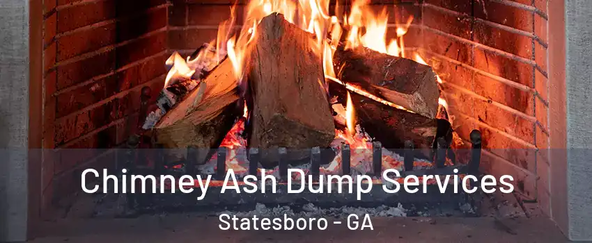  Chimney Ash Dump Services Statesboro - GA