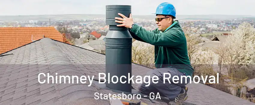  Chimney Blockage Removal Statesboro - GA