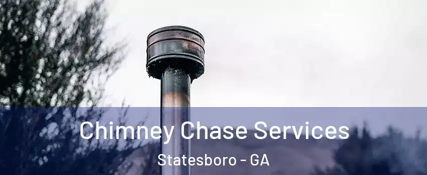  Chimney Chase Services Statesboro - GA