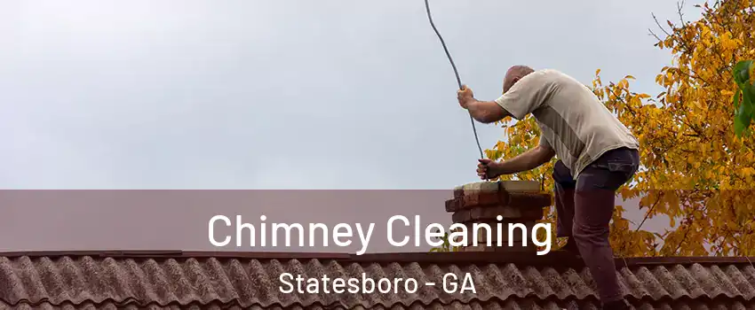  Chimney Cleaning Statesboro - GA