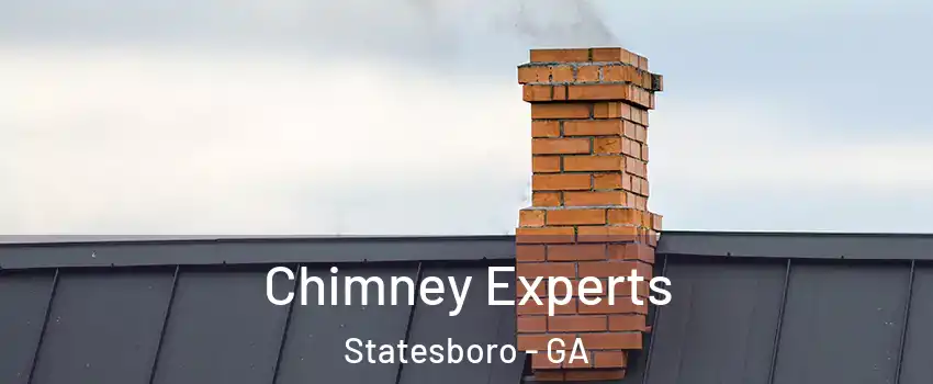 Chimney Experts Statesboro - GA