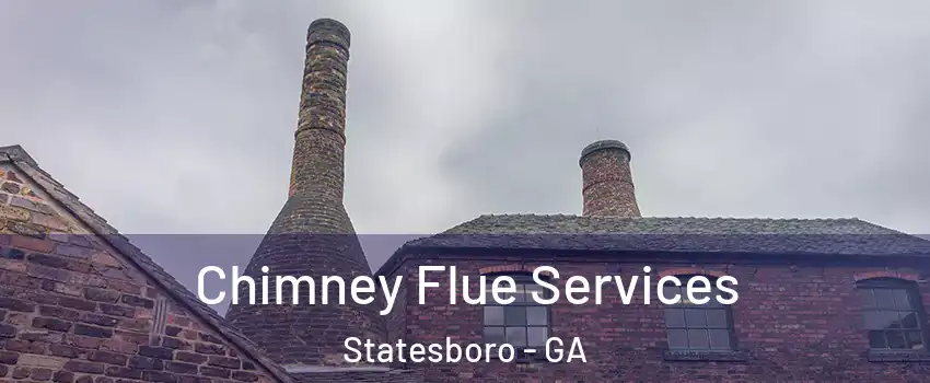  Chimney Flue Services Statesboro - GA