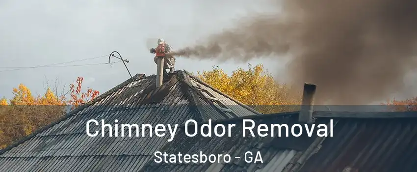 Chimney Odor Removal Statesboro - GA