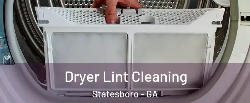  Dryer Lint Cleaning Statesboro - GA