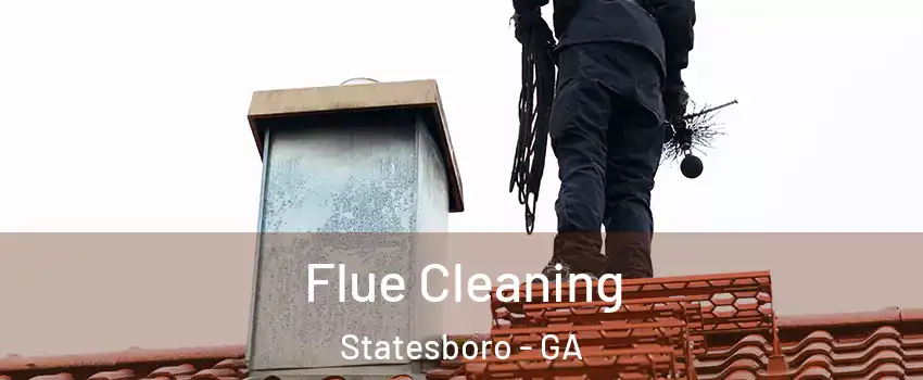  Flue Cleaning Statesboro - GA
