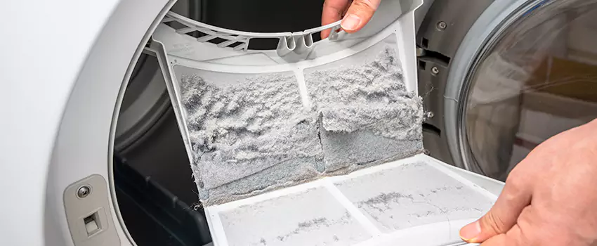 Best Dryer Lint Removal Company in Statesboro, Georgia