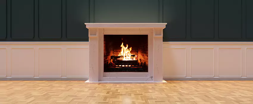 Napoleon Electric Fireplaces Inspection Service in Statesboro, Georgia