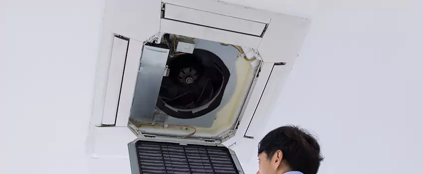 Benefits of Professional Air Duct Cleaning in Statesboro, Georgia