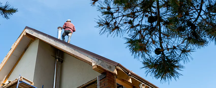 Birds Removal Contractors from Chimney in Statesboro, GA