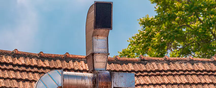 Chimney Blockage Removal in Statesboro, Georgia
