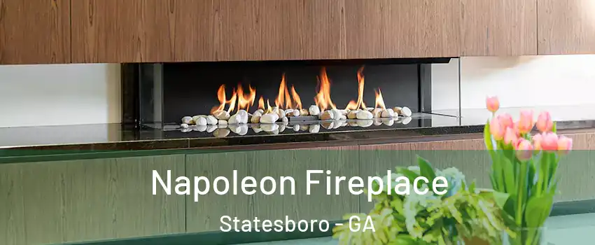  Napoleon Fireplace Statesboro - GA